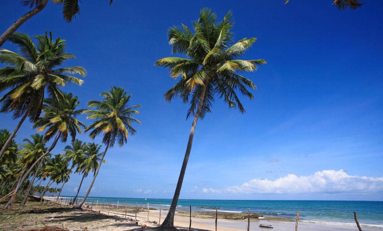 Flat Super Luxo Carneiros Beach Resort Tamandaré Esterno foto